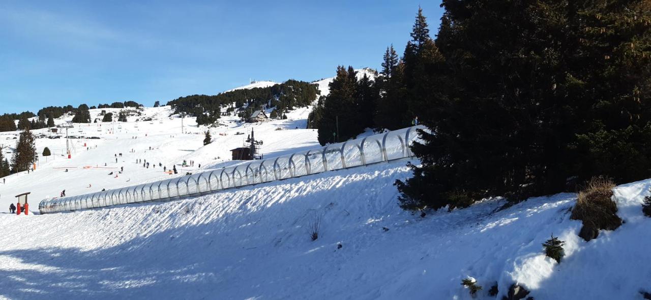 Studio Aux Pieds Des Pistes Roche Beranger Chamrousse Exteriér fotografie